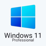 Windows 11 Pro