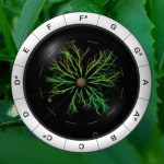Sonic Charge Synplant